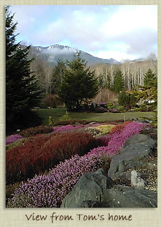 View from treatment office at Tom's home